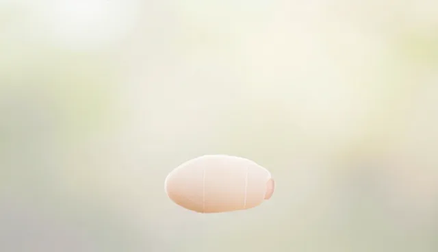 技术推广中使用建议对运维服务结果的影响